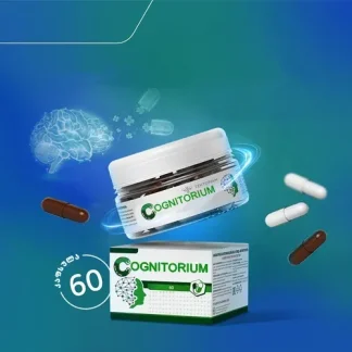 კოგნიტორიუმი ❌ არ არის რეკომენდებული ❌