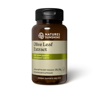 Olive Leaf – Extract (60 caps.)