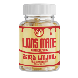 გულა სოკოს მიკროდოზინგი 90ც ❌ არ არის რეკომენდებული ❌