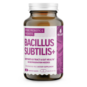 BACILLUS SUBTILIS +