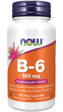 Vitamin B-6 100 mg Veg Capsules ❌️ არ არის რეკომენდებული ❌️
