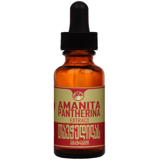 Amanita Pantherina ექსტრაქტი 30ml ❌ არ არის რეკომენდებული ❌