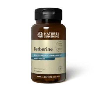 Berberine - Herbal Dietary Supplement for Metabolism ❌ არ არის რეკომენდებული ❌