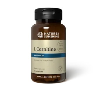 l-Carnitine ❌️ არ არის რეკომენდებული ❌