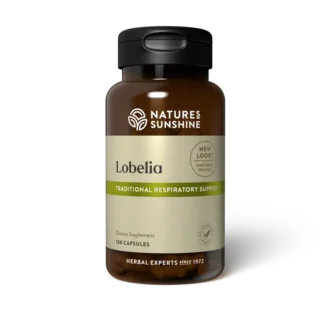 Lobelia ❌️ არ არის რეკომენდებული ❌️