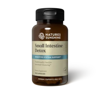 Small Intestine Detox ❌ არ არის რეკომენდებული ❌